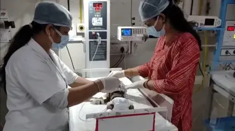 Infant Placed Alive in the Country Fights for Survival